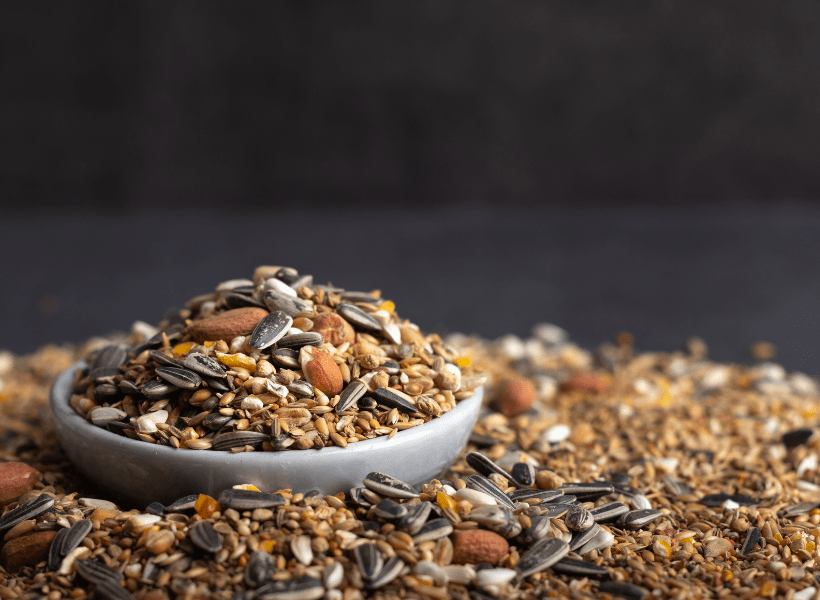 Whats In a Seed Mix? - The Finch Weekly