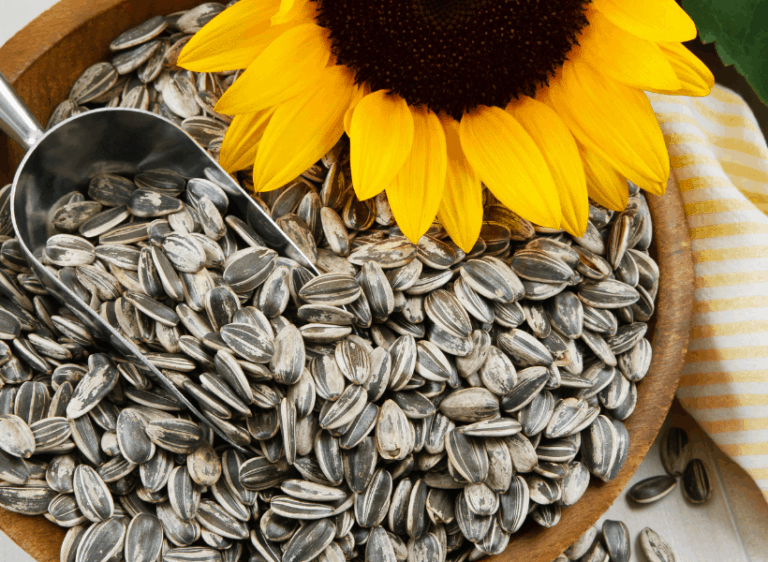 Whats In a Seed Mix? - The Finch Weekly